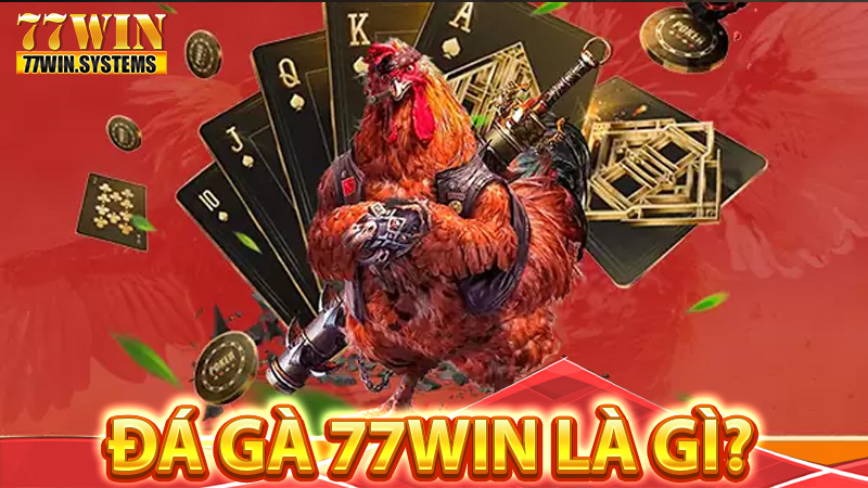 Đá gà 77win là gì?